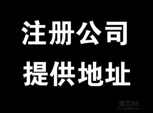 苗栗注册公司，法人可以用其他人吗？法人有什么风险！